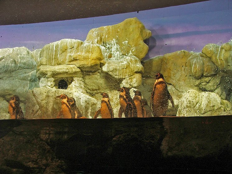 aquario-de-barcelona-1