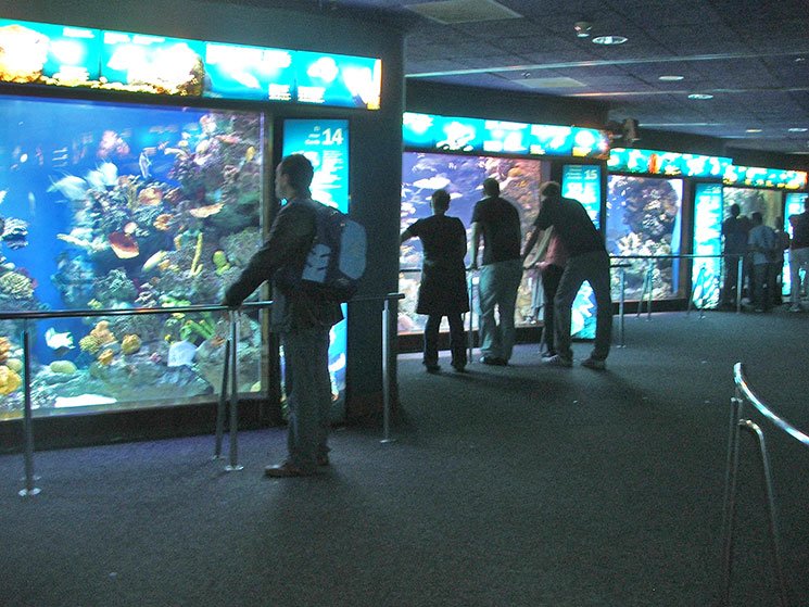 aquario-de-barcelona-13