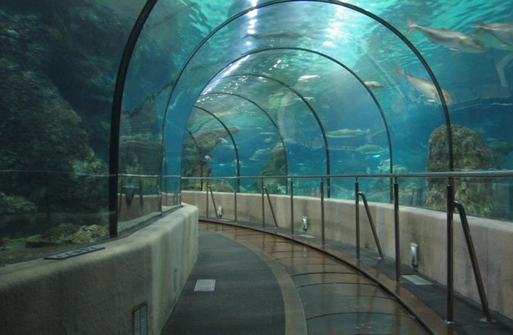 aquario-de-barcelona-20