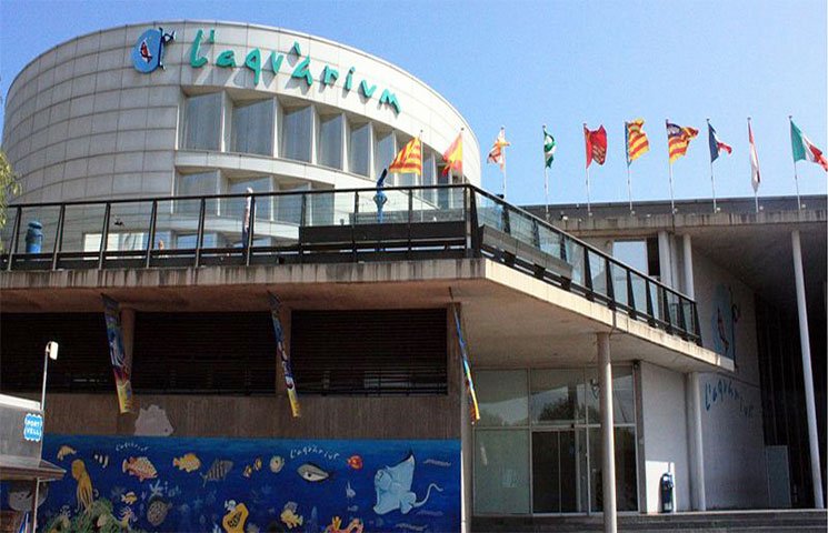 aquario-de-barcelona-22