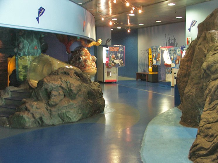 aquario-de-barcelona-4