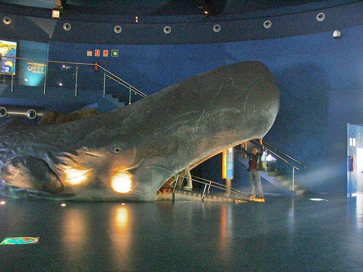 aquario-de-barcelona-5
