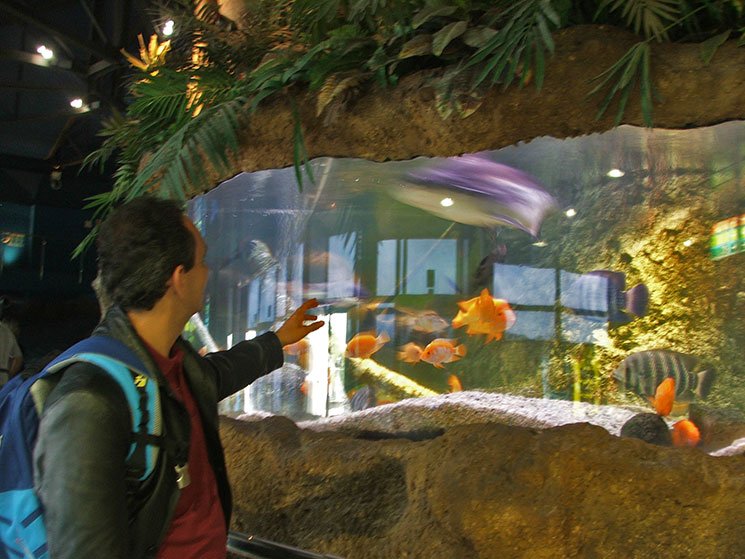 aquario-de-barcelona-6