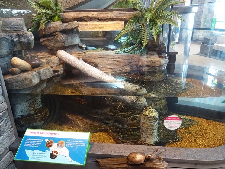 museu-de-ciencia-em-boston-15