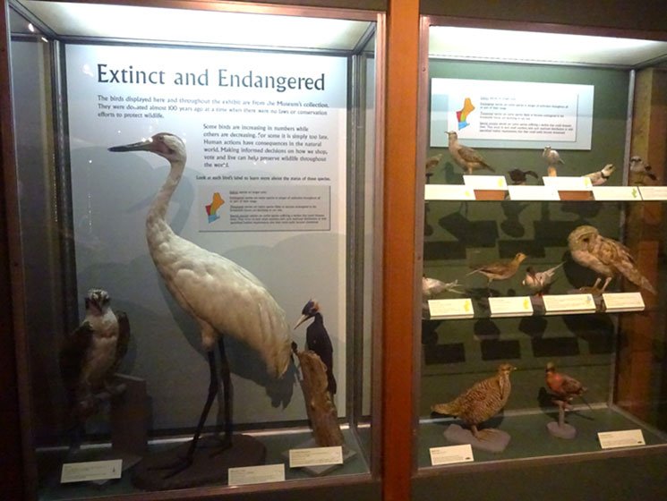 museu de ciencia em boston 19