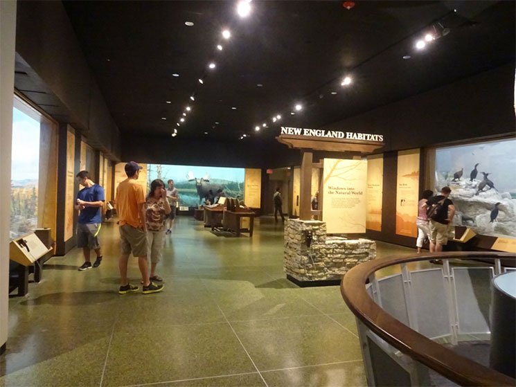 museu-de-ciencia-em-boston-22