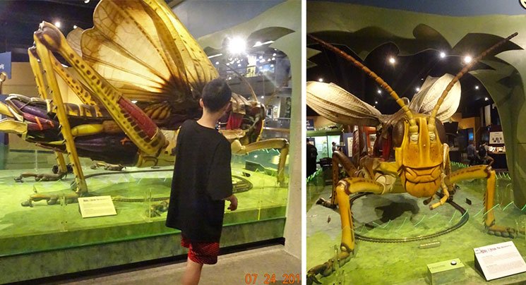 museu de ciencia em boston 3