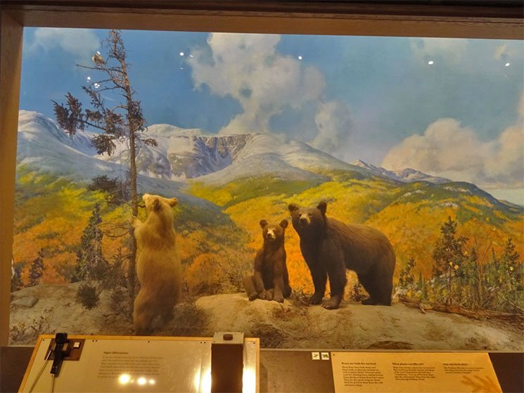 museu-de-ciencia-em-boston-6