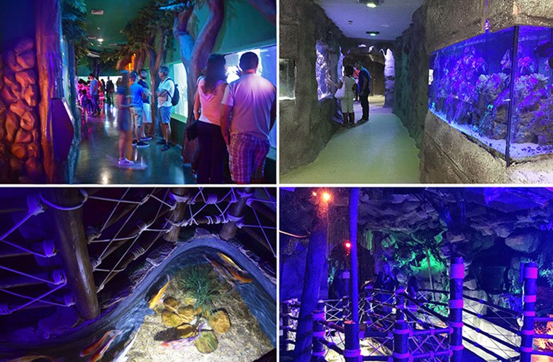 Aquário de São Paulo