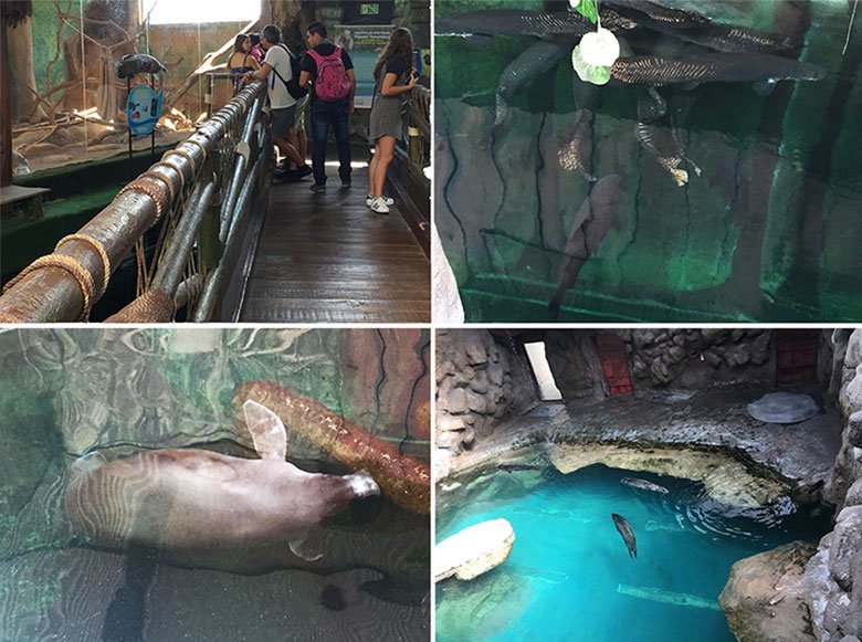 Área do peixe-boi no Aquário de São Paulo