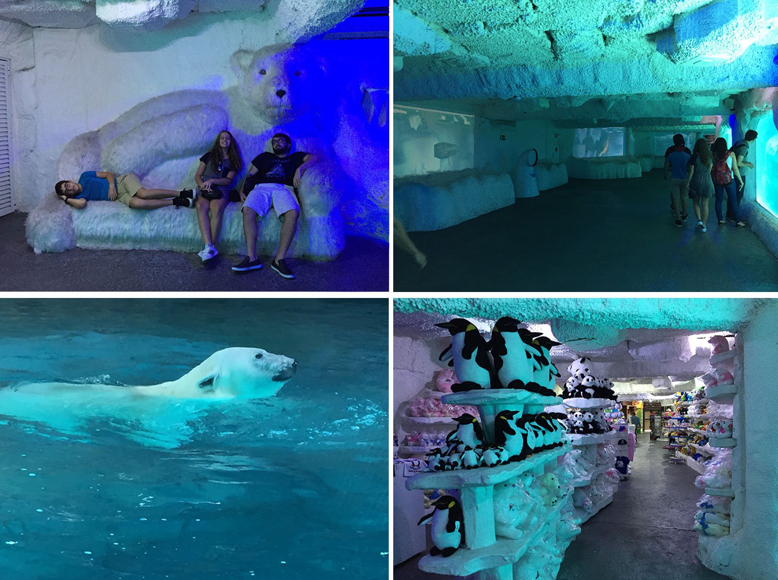 Área do urso polar no Aquário de São Paulo