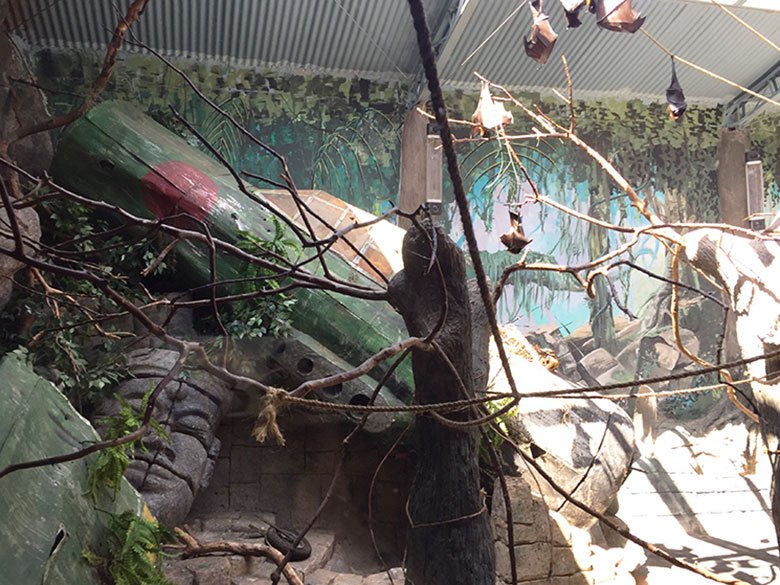 Morcegos no Aquário de São Paulo