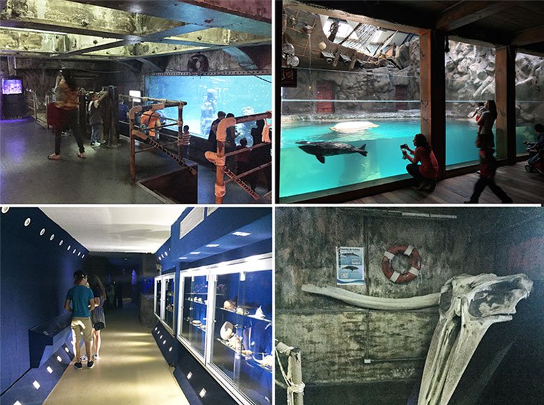 Aquário de São Paulo