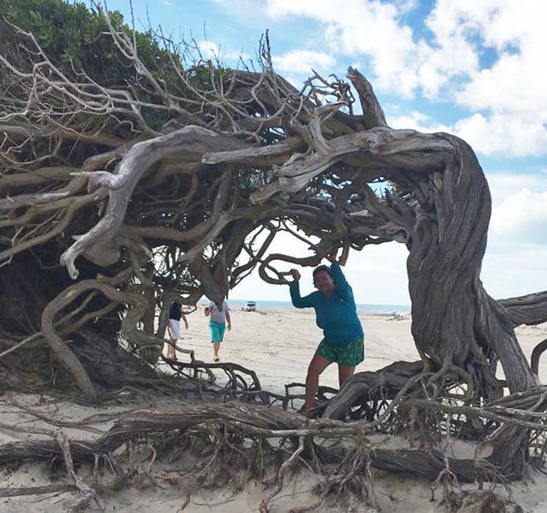 Árvore da Preguiça em Jeri