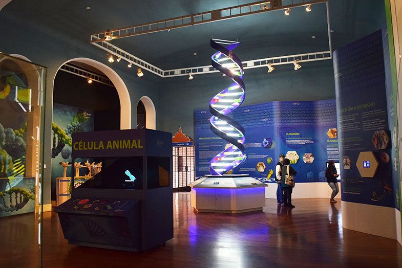 Célula e DNA no Museu Catavento