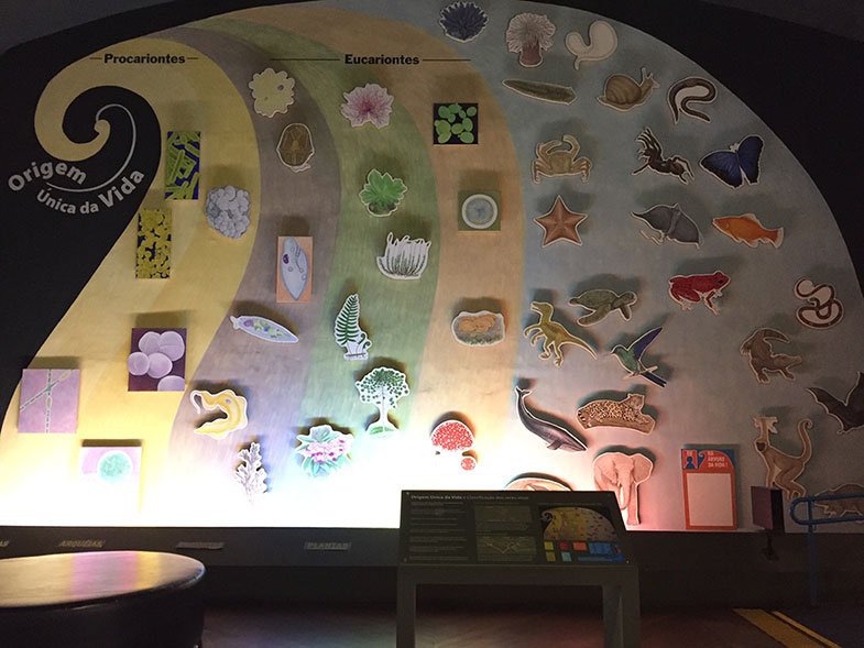 Seção Vida do Museu Catavento