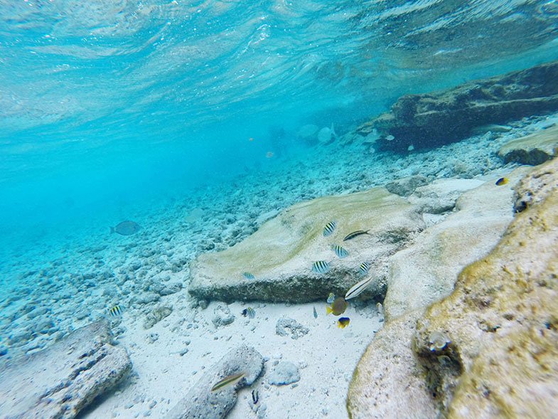 Acuario em San Andrés