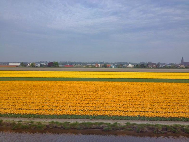 Viajando de trem pela Holanda