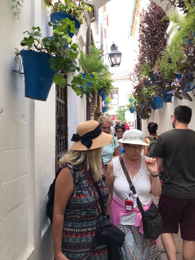 Calleja de las Flores
