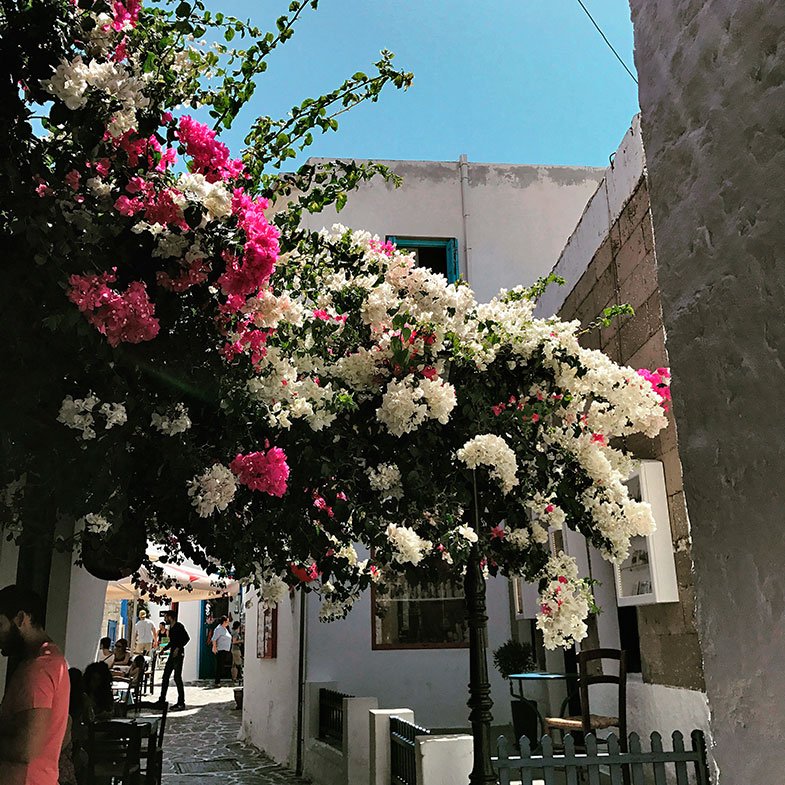 Pelas ruas de Plaka
