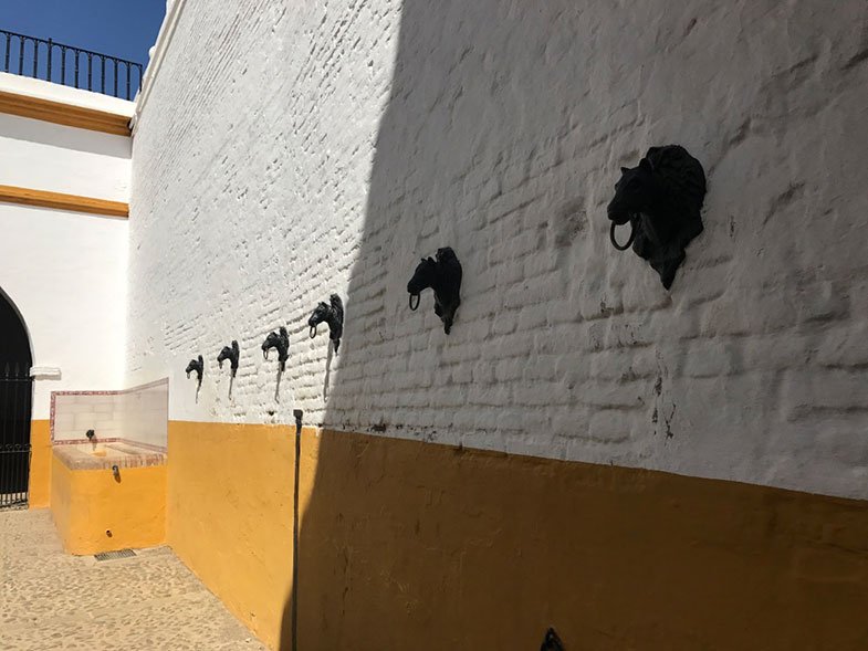 Estábulo para os cavalos