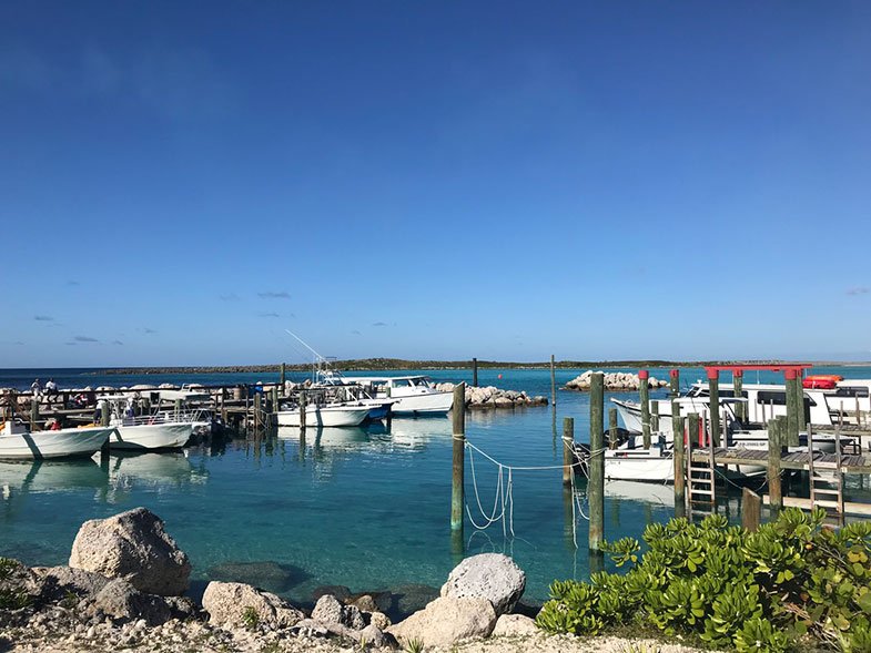 Embarque para parasail na ilha particular da Disney