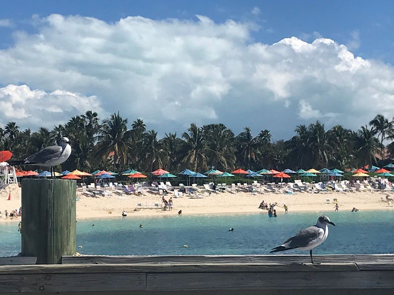 Vista do Head's Up Bar