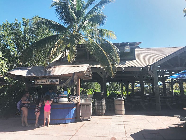 Ilha particular da Disney