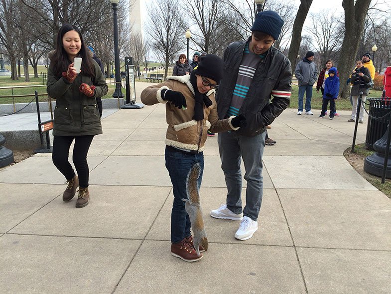 Inverno e verão nos Estados Unidos