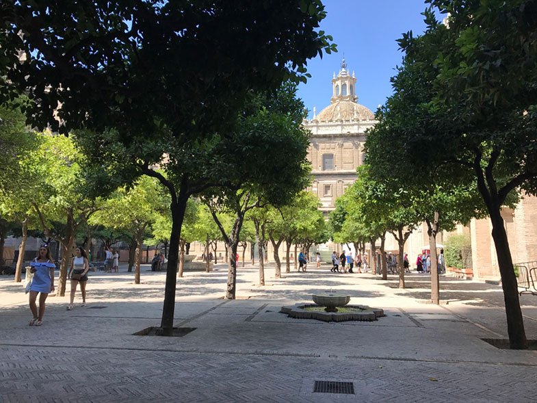 Pátio das Laranjeiras da Catedral de Sevilha