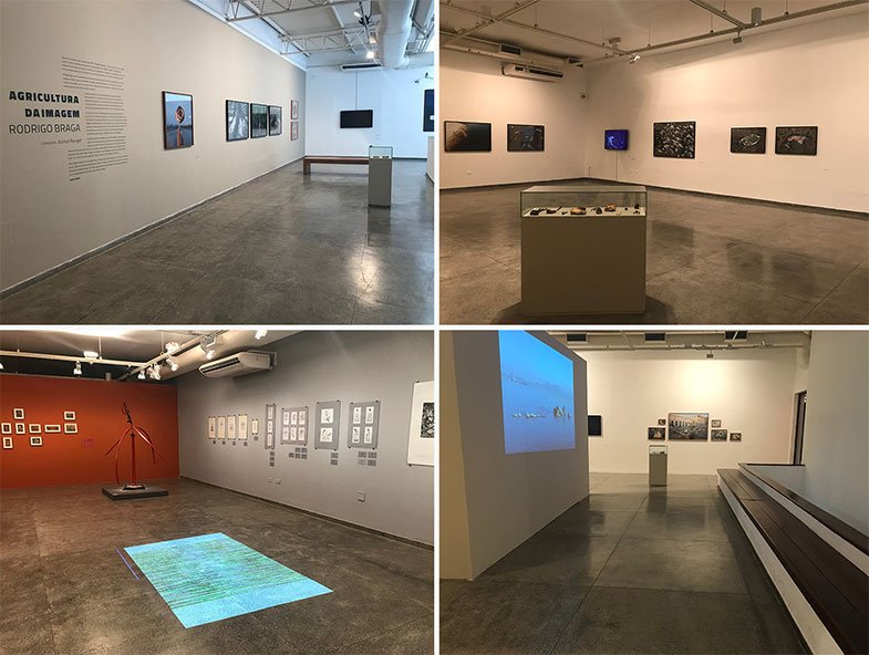 Exposições temporárias no Museu do Estado de Pernambuco