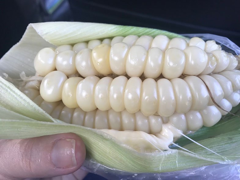 Pisaq no Vale Sagrado