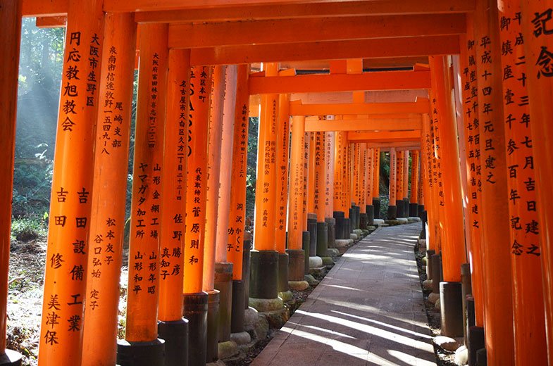 Roteiro de uma viagem pelo Japão