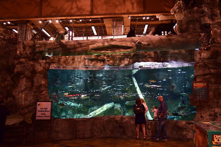 Aquério da Bass Pro Shops em Memphis