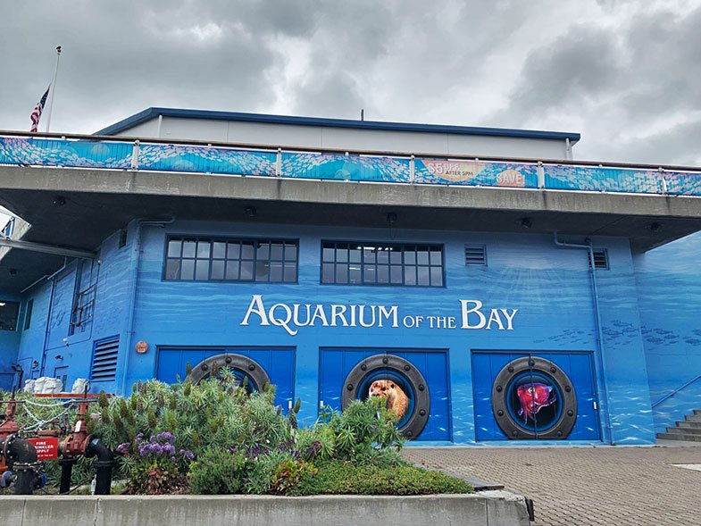 Aquarium of the Bay em San Francisco