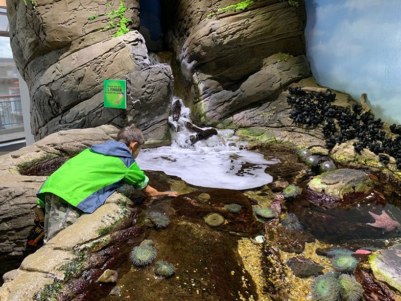 Aquarium of the Bay em San Francisco