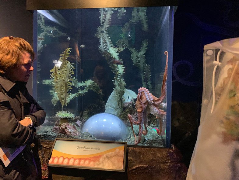 Aquarium of the Bay em San Francisco
