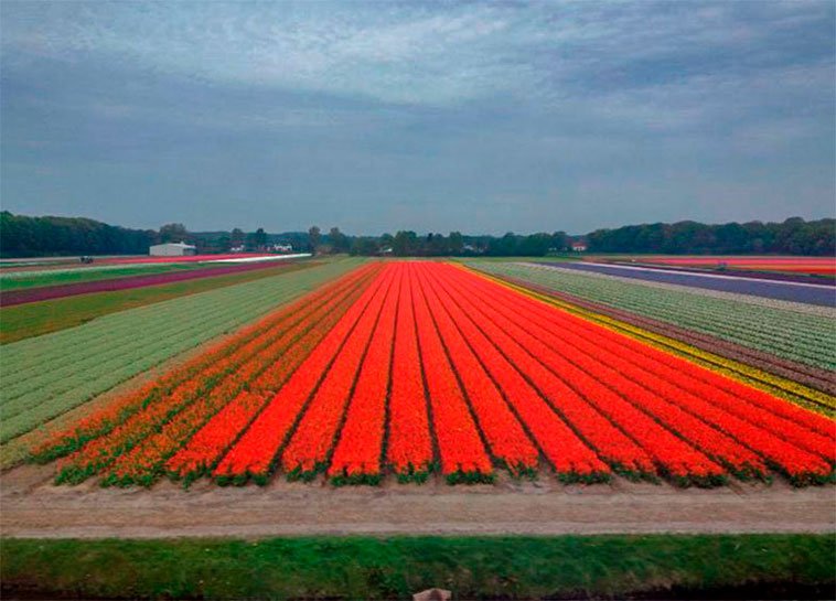 Bate e volta na Holanda
