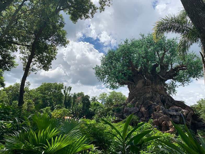 Roteiro Orlando com filhos mais velhos