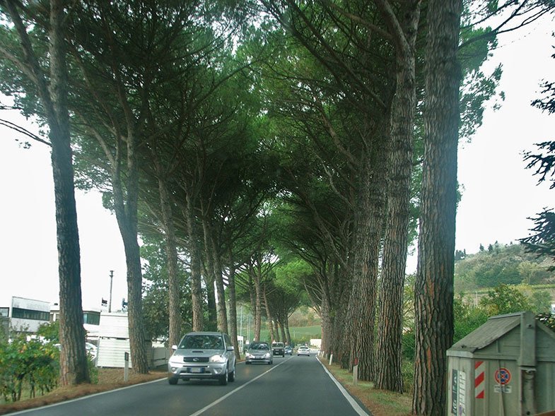 Toscana de carro - 3 opções de roteiros