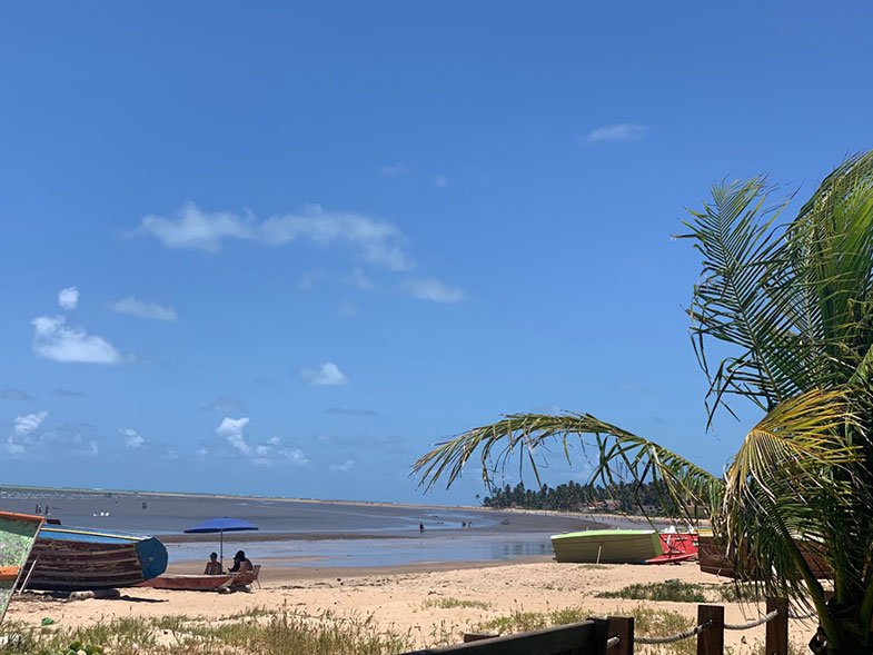 Óleo nas praias do Nordeste