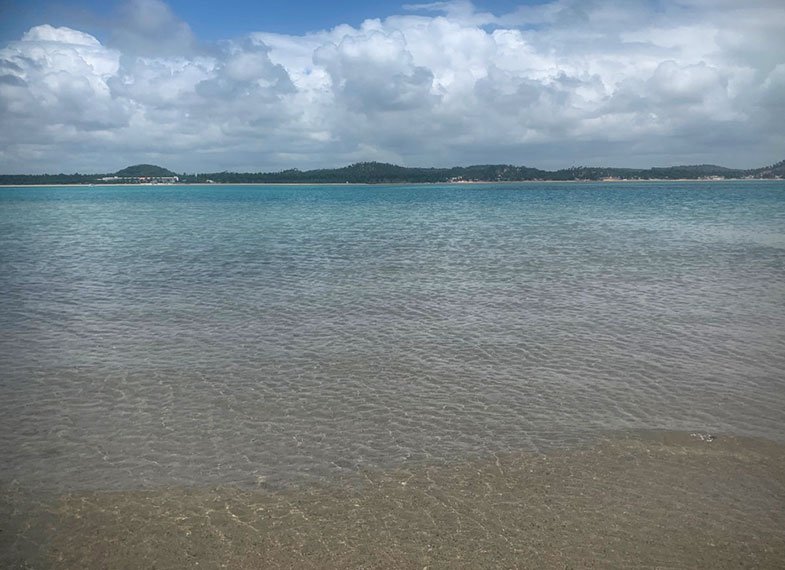 Óleo nas praias do Nordeste